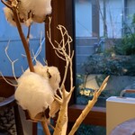 セララバアド - 