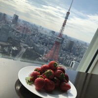 XEX TOKYO / Salvatore Cuomo Bros. - 