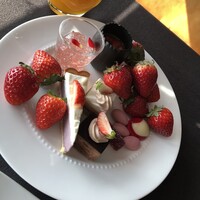 XEX TOKYO / Salvatore Cuomo Bros. - 