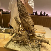 小熊 - 
