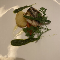 トラットリア トペ - 