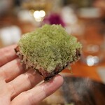 レストラン ナズ - 