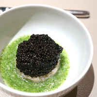 スガラボヴィー - 