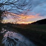 さかなどころ ともさき - 