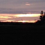 さかなどころ ともさき - 