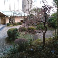 日本料理 木の花 - 