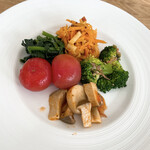 飛行船スタイル 南條 - お野菜5種盛り合わせ