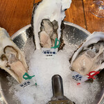 Oyster Bar ジャックポット - 生牡蠣3点セット 左から　老者舞、秀峰牡蠣、厚岸3L