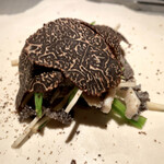 エクアトゥール - 