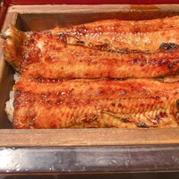 にょろ助 銀座 - 