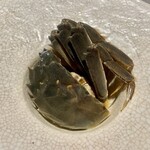 茶禅華 - 2022.1.  酔大閘蟹(雌)