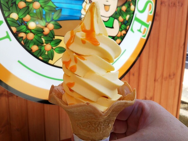 MIKACHAN BASE （ミカチャン ベース） - 三ケ日/ソフトクリーム | 食べログ