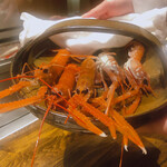 温石 - 活の赤座海老。これから炭火地獄だよん、アハッ