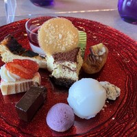 スミレオオサカ -  スミレオオサカ -