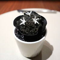 スガラボヴィー - 