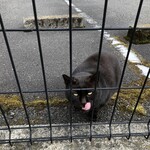 LAWSON - 満足そうに舌なめずりｗ