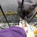 LAWSON - ほれ、食えっ