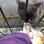 LAWSON - もっと食えっ