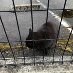 LAWSON - 食べ終えたら知らんぷり（でも心の声は聞こえた気がする）