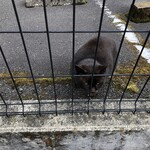 LAWSON - あっと言う間に完食したね