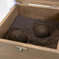 クイントカント - 