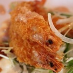 小さな森の喫茶店　レストラン　ワイルドダック - 