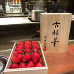 スガラボヴィー - 