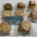 ブルーバード - 