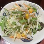 精龍苑ナラワ - 野菜サラダ。