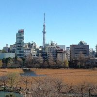 東天紅 上野店 - スカイツリーがよく見えました