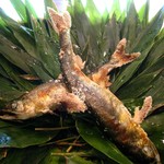 うさぎ屋 - 焼肴（鮎）