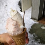 GELATERIA SHEETA - 雪の下にんじんと無花果とおまけの日本酒（まんさくの花）