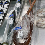 ODOYA - やがら？すごいクチバシの魚だ