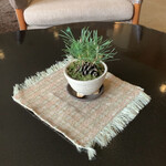 ピパ・ブルー - テーブルの松ぼっくり