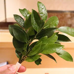 銀座 しのはら - 