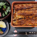 Unagi Idumi - 