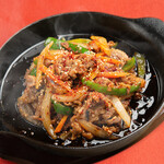 Bulgogi with lots of vegetables