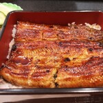 Unagi Shinkawa - 