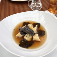 フィオレンティーナ -  フィオレンティーナ -