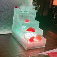 牛牛 西麻布 総本店 - 