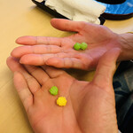 山玄茶 - うわぁ、友達んとこも２つや(　ﾟ皿ﾟ)ｷ─︎─︎ｯ!!