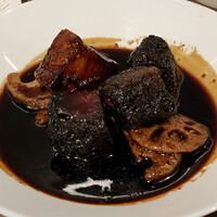 CINA New Modern Chinese - 