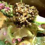 エクアトゥール - 