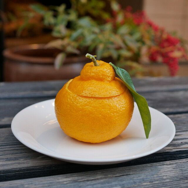 みすゞ飴本舗 飯島商店 上田本店 （イイジマショウテン） - 上田