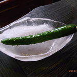 きゅうりの浅漬け串100円