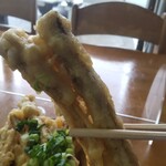 満所茶屋 - 箸の3倍はあろうかというごぼ天♪