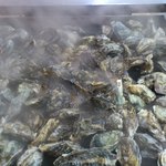 かき焼 うちの海 - 蒸しあがりました