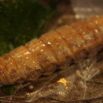 酒嗜　ふる川 - 蝦蛄