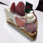 アロー ツリー - 