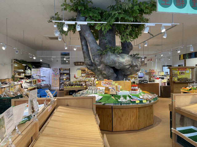 あがりこ大王 - 金浦（野菜料理）の写真